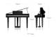 Roland GP-3 BK Piano numérique  - Image n°5