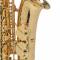 Selmer Saxophone Alto Axos - Image n°3