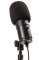 Zoom ZUM 2PMP - Pack Microphone Podcast - Image n°3