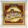 Ernie Ball 2012 Acoustiques    Earthwood 80/20 Bronze Medium 12 cordes 11/52