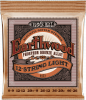 Ernie Ball 2153 Acoustiques Earthwood Phosphor Light 12 cordes 9/46