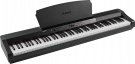 Alesis CLAVIER 88 notes Graded Hammer Action 30 voix