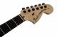 Fender JIm Root Stratocaster® BLACK EBONY - Image n°4