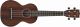 Gretsch Guitars GRETSCH G1110 CONCERT STANDARD UKE MAHOGANY - Image n°2