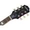 Epiphone SLASH LES PAUL STANDARD Appetite Burst (incl Hard Case) - Image n°4