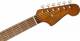 Fender NEWPORTER PLAYER Sunburst - Image n°5