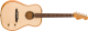 Fender Highway Series™ Dreadnought - Image n°2