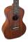 Gewa K-CO-LIZ MANOA CONCERT UKULELE LIZZARD  - Image n°4