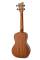 Gewa K-CO-LIZ MANOA CONCERT UKULELE LIZZARD  - Image n°3