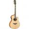 YAMAHA Guitare électro-acoustique Yamaha APX1000 Natural - Image n°2
