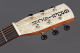 Gretsch Guitars G9200 BOXCAR™ ROUND-NECK - Image n°5