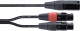 Cordial EY0.3MFF XLR - XLR mâle /2 XLR femelles - 0.3m  - Image n°2