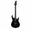 Framus F18668BK - Image n°2