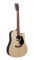 Martin & Co DC-X2E-ROSEWOOD-L Dreadnought - DC-XE2 Rosewood - Image n°2