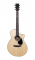 Martin & Co SC-10E-KOA - Image n°2