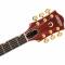 Gretsch Guitars 2401398822 G6120TG PRO PLAYER EDITION NASHVILLE ORANGE STAIN - Image n°3