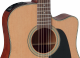 Takamine P1DC - Image n°3