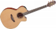Takamine P3NC NEX - Cutaway - Electro - Image n°2