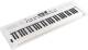 Roland GO:KEYS5 WH White - Image n°3