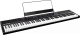 Alesis CLAVIER 88 notes type piano toucher semi-lesté - Image n°2