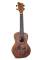 Gewa K-CO-LIZ MANOA CONCERT UKULELE LIZZARD  - Image n°2