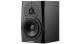 Dynaudio Pro LYD5 Moniteur de Studio Actif 5P Face noire - Image n°3