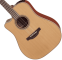 Takamine P3DC-LH Dreadnought - Cutaway - Electro - Gaucher - Image n°3