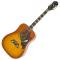 Epiphone Dove Studio Violin Burst - Image n°2