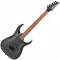 Ibanez RGA42FM-TGF TRANSPARENT GRAY FLAT - Image n°2