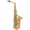 Selmer Saxophone Alto Axos - Image n°2