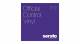 Serato Purple 12P - Image n°4
