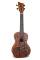 Gewa K-CO-TUR MANOA CONCERT UKULELE CRAZY TURTLE + HOUSSE - Image n°2