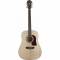 Washburn GUITARE ACOUSTIQUE DREADNOUGHT HD10S - Image n°2