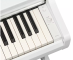 YAMAHA ARIUS YDP-166WH - Image n°4