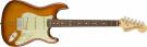 Fender AMERICAN PERFORMER STRATOCASTER® Rosewood, Honey Burst