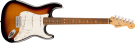 Fender  Player Stratocaster PF Anniversary 2-Color Sunburst 