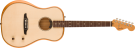 Fender Highway Series™ Dreadnought