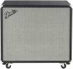 Fender BASSMAN® 115 NEO ENCLOSURE