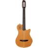 Godin MULTIAC Grand Concert SA Natural HG