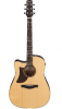 Ibanez AAD170LCELGS GAUCHER