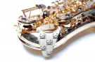 BG A65S Sèche-Tampons Saxophone