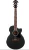 Ibanez AE295WK