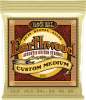 Ernie Ball 2005 Acoustiques Earthwood 80/20 Bronze Custom medium 12,5/56 