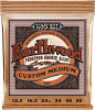 Ernie Ball 2143 Acoustiques Earthwood Phosphor Custom medium 12,5/56