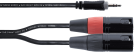 Cordial EY3WMM Mini-Jack / XLR - Mini-J. st./2 XLR mâles - 3m