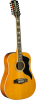 EKO RANGER VR12-EQ-NAT 12 CORDES ELECTRO