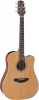 Takamine GD20CENS Dreadnought - Cutaway - Electro