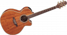 Takamine EF508KC NEX - Cutaway - Electro