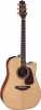 Takamine P4DC Dreadnought - Cutaway - Electro