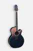 Takamine LTD2024 Penumbra Blue Japan